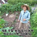 박순자농장 이미지