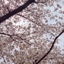 안동댐 소공원 주차장 안 | [월영교]안동 가볼만한 곳, 국내 여행 데이트코스