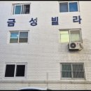 금성빌라 앞 이미지