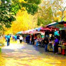 고창 선운산 단풍산행 이미지