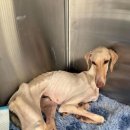 왕성갈비 이미지