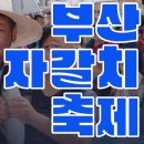 부산자갈치 이미지
