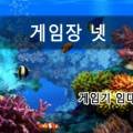 불새성인게임장 이미지