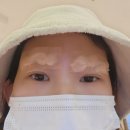 토마스요양병원 | 2024년 9월 모음.zip (건강하자)