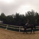 동서울 승마장 이미지