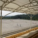 본마사동 이미지