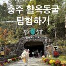 충주 활옥동굴 이색 데이트 코스 강추! (투명 카약 체험)