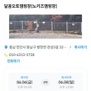 달꿈 오토캠핑장 이미지