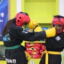 용인대 특전합기도 이미지