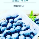 저동농장 이미지