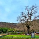 장군마을2길 이미지