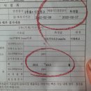 신세계부란자 이미지