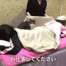 스토리안마시술소 이미지