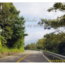 백송식당 이미지