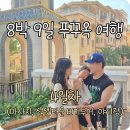 월드펫투어 이미지