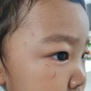 중흥골드스파&리조트 수영장 이미지