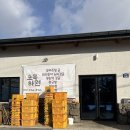 하원농장 | 제주 감귤 체험 농장 / 초록하원 / 더 시에나 리조트 근처 귤따기