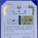 다한다솔루션