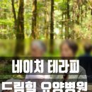 신장_지하보도 | 제주 드림힐 암요양병원｜자연·의학 통합 암환자 케어