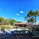 천연염색문화재단 주차장 | 오키나와월드 방문 후기(오키나와 남부 대표 테마파크.오키나와의 자연, 전통문화 체험가능한 곳.)