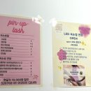 핀업래쉬 이미지