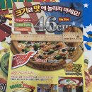 46 이너스 피자 이미지