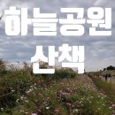 서부공원녹지사업소 화장실 | [마포구] 월드컵공원 내 하늘공원 산책(feat.핑크뮬리)