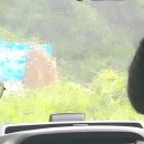 충경 작은도서관 | 뱅치리뱅뱅치리뱅뱅