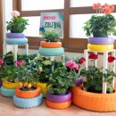 송하카센타 이미지