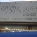 이향애견살롱 이미지