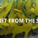 (주)보타메디 이미지