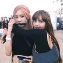 아바 이미지