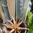 (주)우선팜 이미지