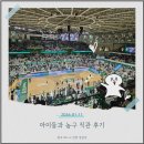 26230-73-01-033 | 아이들과 농구 직관 후기, 원주DBvs안양정관장,KBL예매방법