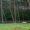 안면도자연휴양림 이미지