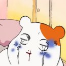 크림약국 이미지