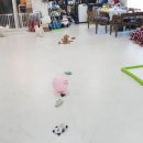 봉순두부 이미지