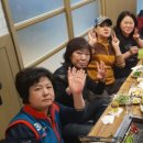 황금오리셋 이미지