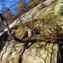 신풍리-2 이미지