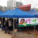 특수임무유공자회 이미지