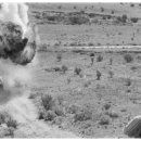 형제농장A 이미지