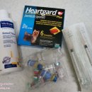 협성동물병원 이미지