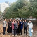 이황초교 이미지