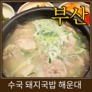 수국도 | 해운대 신상 맛집 수국돼지국밥 솔직 후기 및 메뉴판 정보 (혼밥추천)
