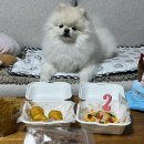 견식도락 부산시청점 이미지