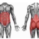 코어짐(Core Gym) 이미지