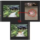 포토샵 신기능 'Harmonize(조합)' 리뷰, 이것은 내 손목을 지켜낼 혁명인가?