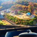 한국장애인부모회 태백시지부 | [행사 후기] 한국장애인부모회 평택시지부 가족분들과 함께 한 특별한 주말 치유 체험 [토마토 고추장...