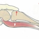 24시잠실ON동물의료센터 이미지