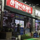 강남해안로 | 내돈내산 여수 돌산 맛집 추천 하멜선어횟집 포장 솔직후기